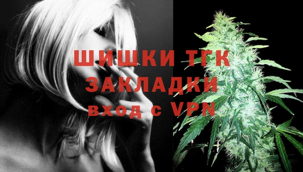Альфа ПВП Кулебаки