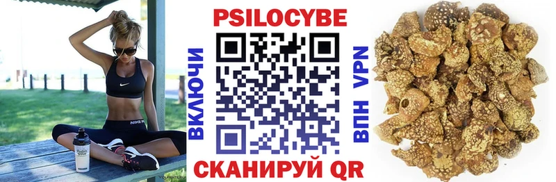 мега ССЫЛКА  Сурск  Галлюциногенные грибы мухоморы 